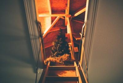 Tree in attic